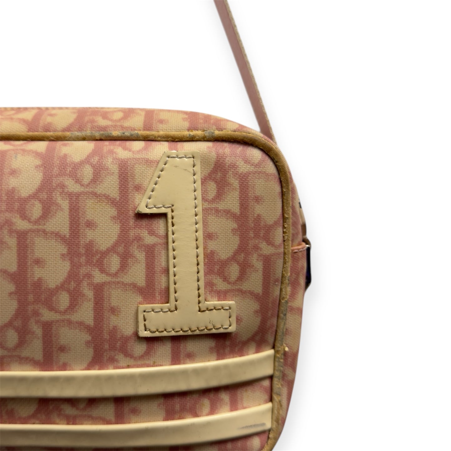 Dior Saddle Bag Pink Monogram