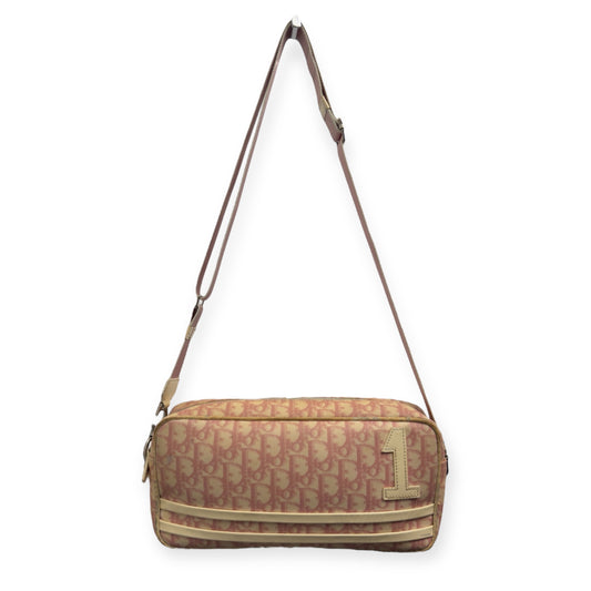 Dior Saddle Bag Pink Monogram